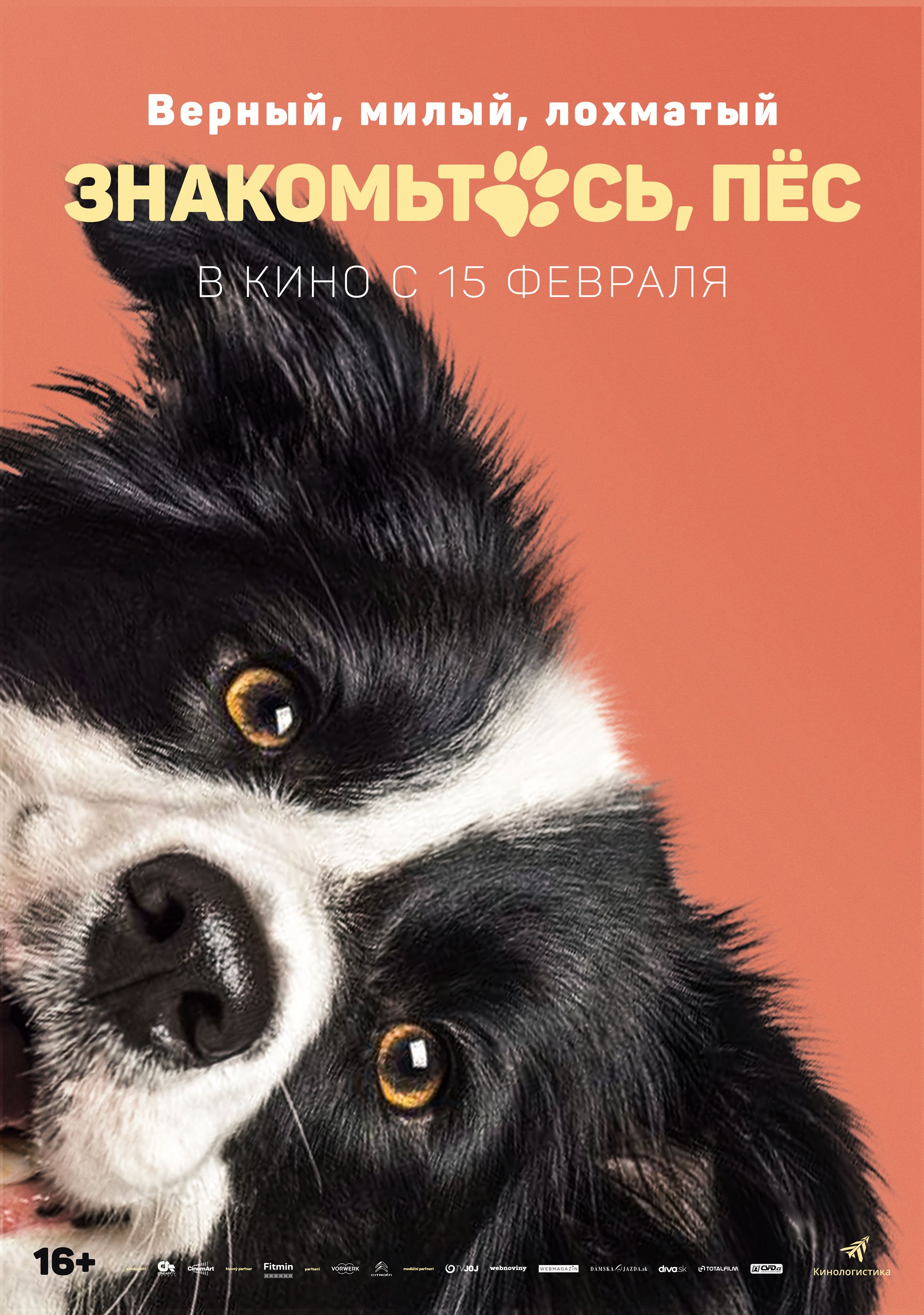 Знакомьтесь, пес