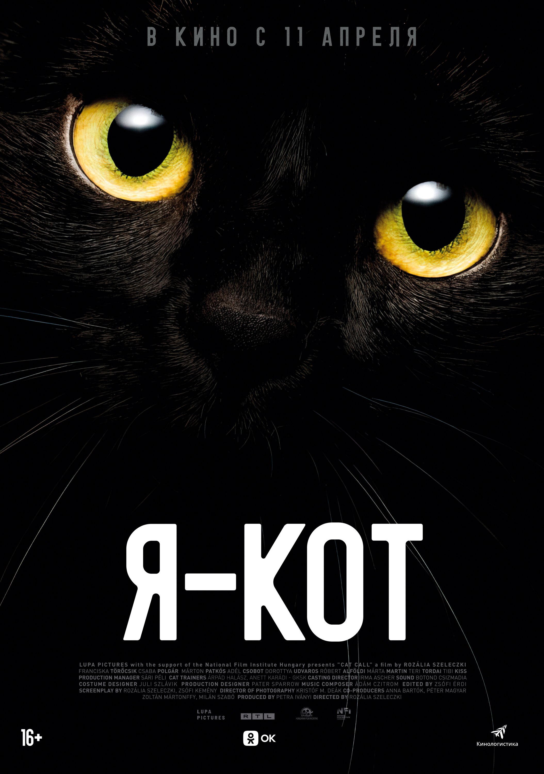 Я - кот